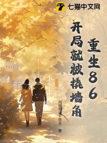 医婿当道88集全本完结版