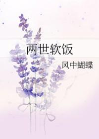 机长夫人是什么意思